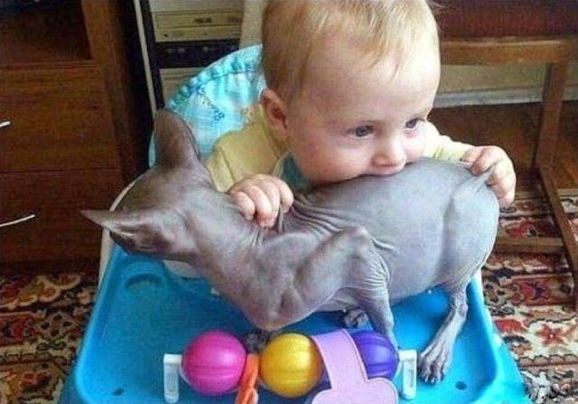 Daily Picdump