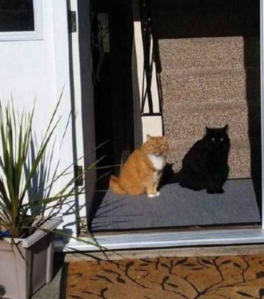 Daily Picdump