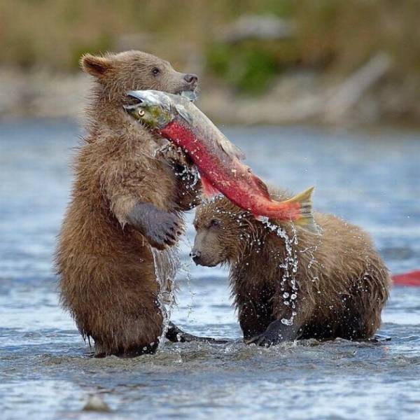 Daily Picdump