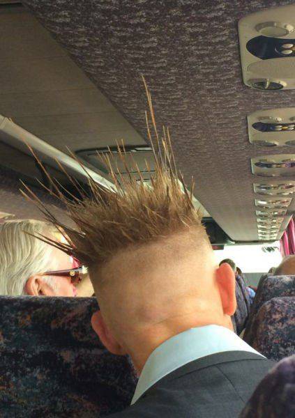 Daily Picdump