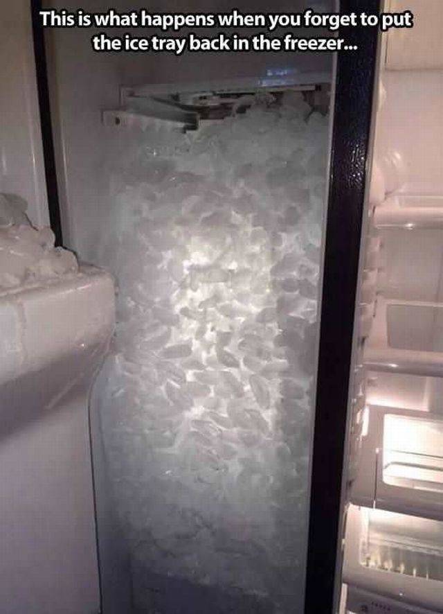 Daily Picdump