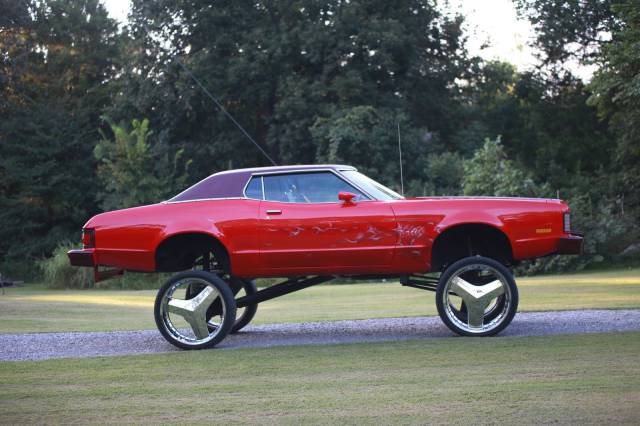 Morning Picdump