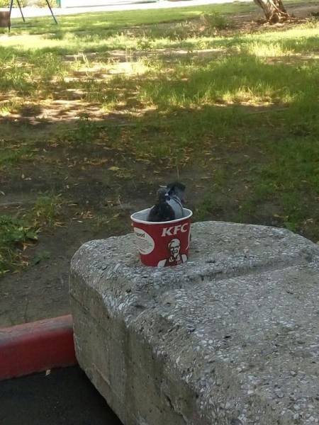 Morning Picdump