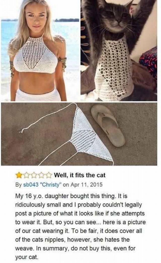Content Image