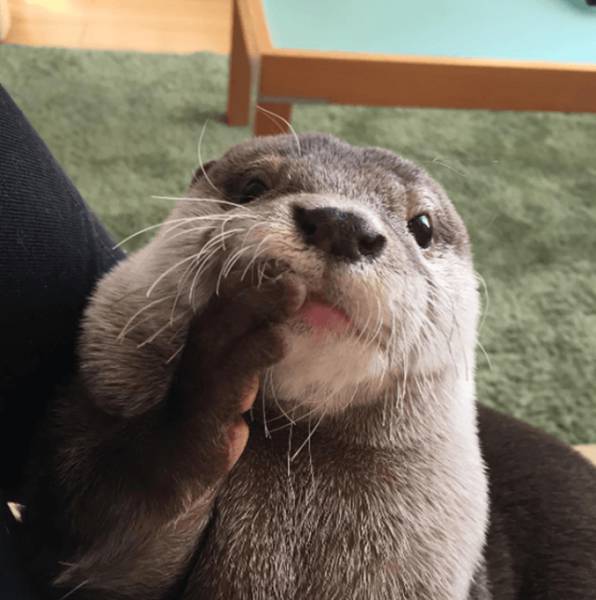 Morning Picdump