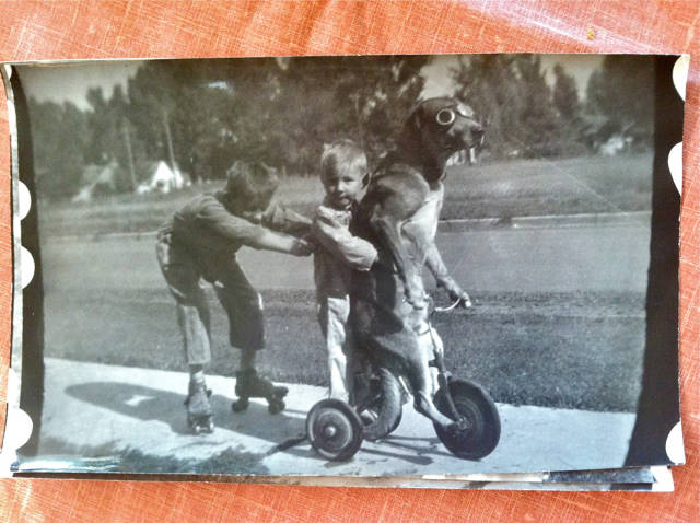 Morning Picdump