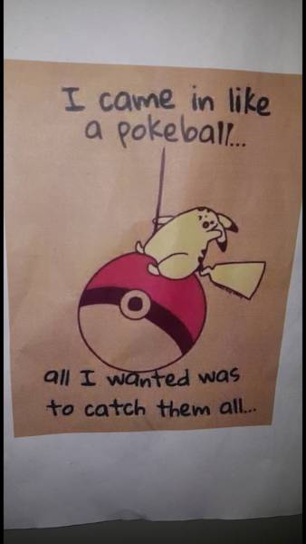 Morning Picdump