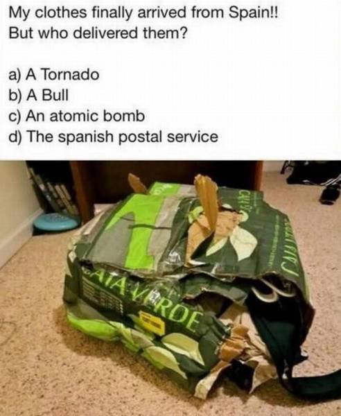 Content Image