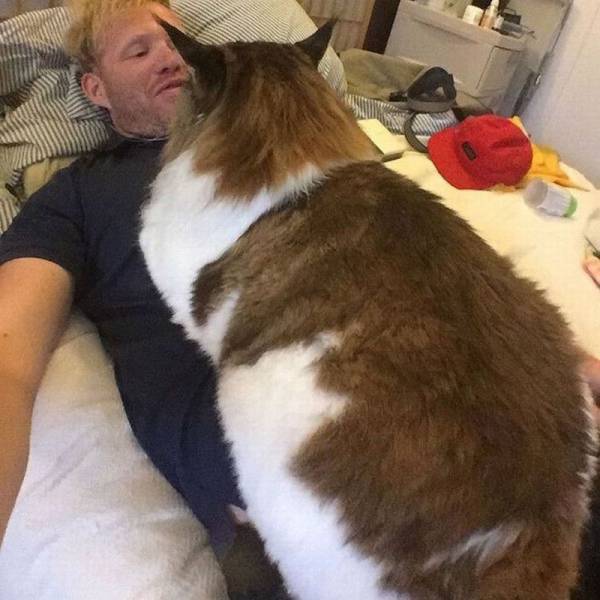 Content Image