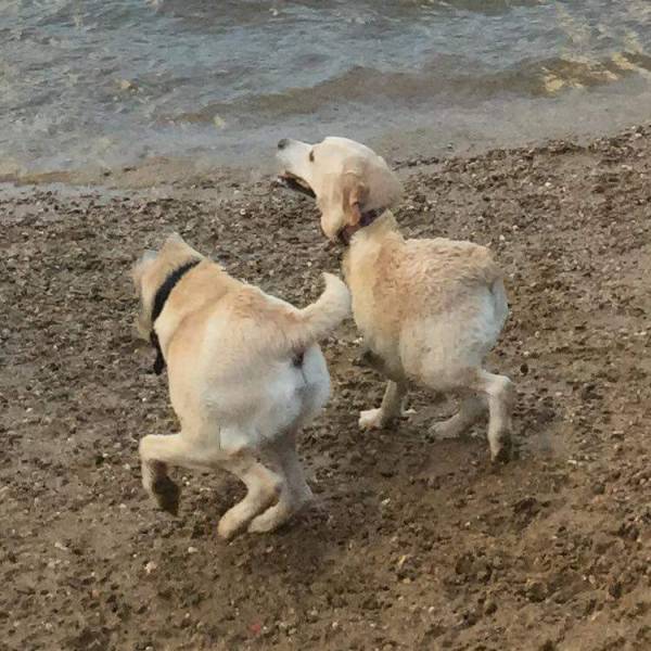 Morning Picdump