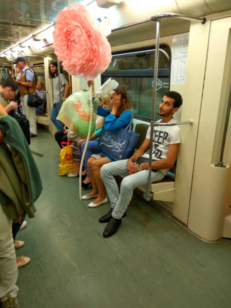 Morning Picdump