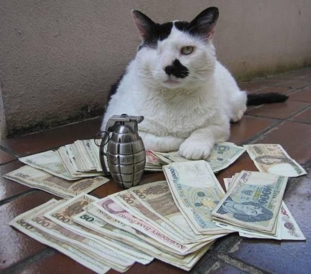 Morning Picdump