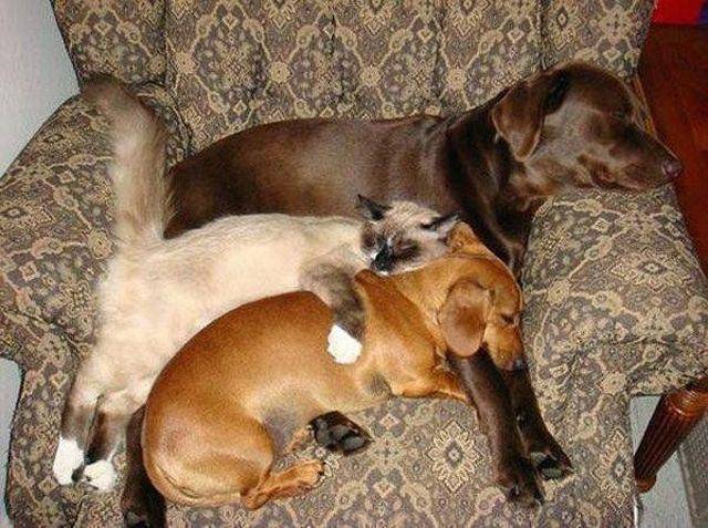 Daily Picdump [WEEKEND EDITION]