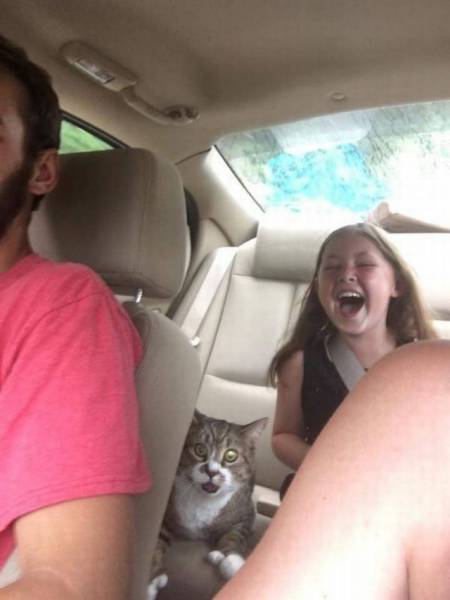 Daily Picdump [WEEKEND EDITION]