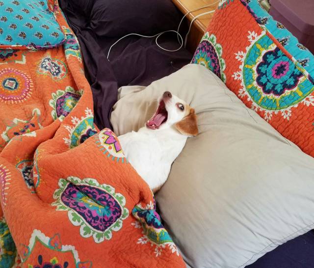 Daily Picdump [WEEKEND EDITION]