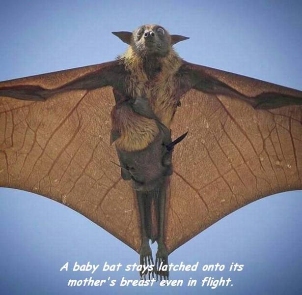 Daily Picdump [WEEKEND EDITION]
