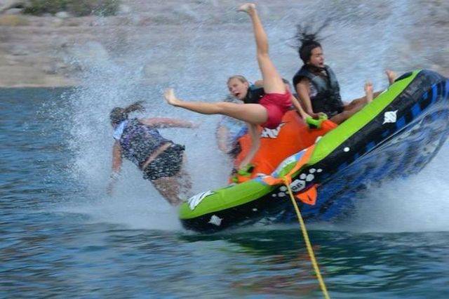 Daily Picdump