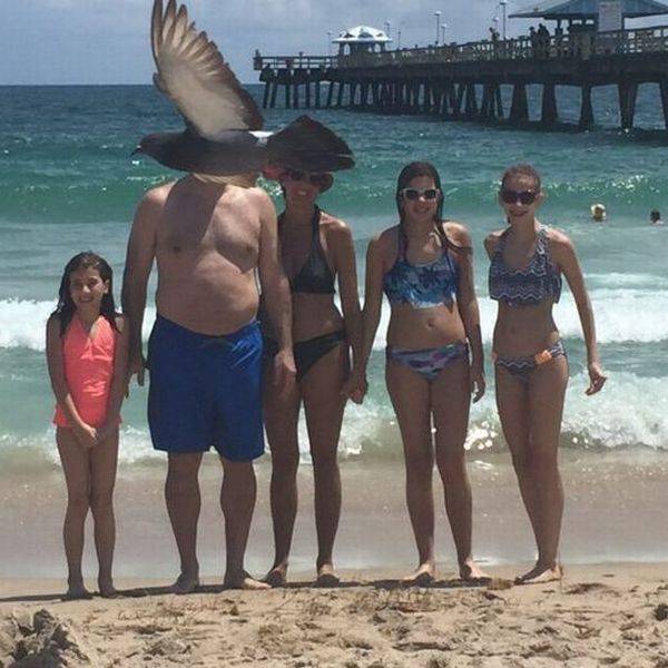 Daily Picdump