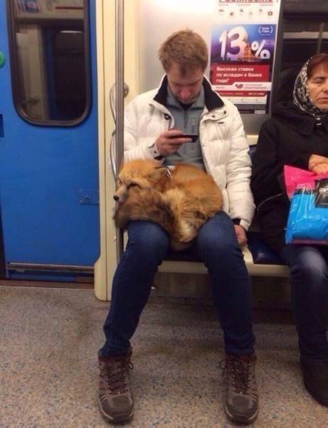 Daily Picdump