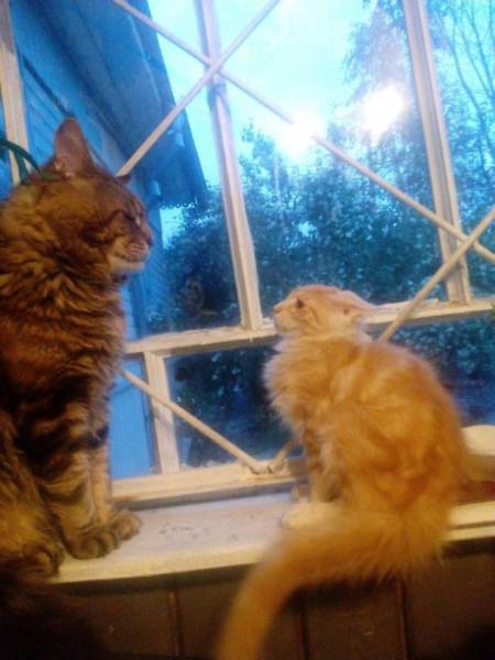 Daily Picdump