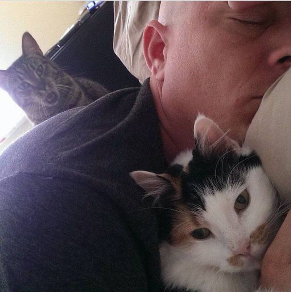 Daily Picdump