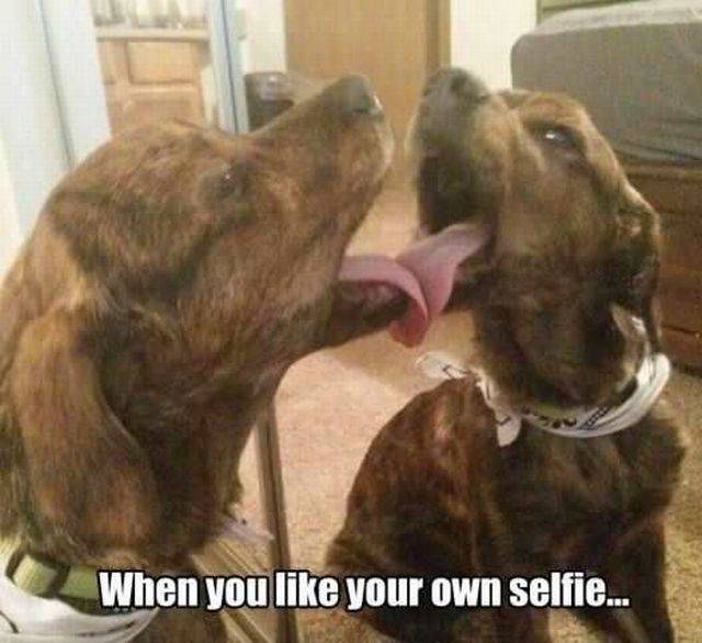 Daily Picdump