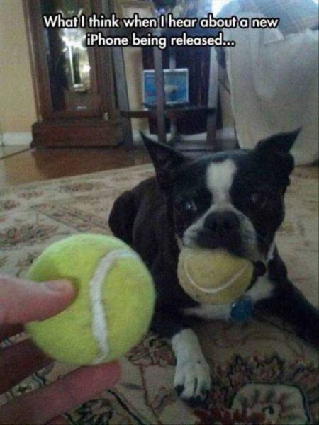 Content Image