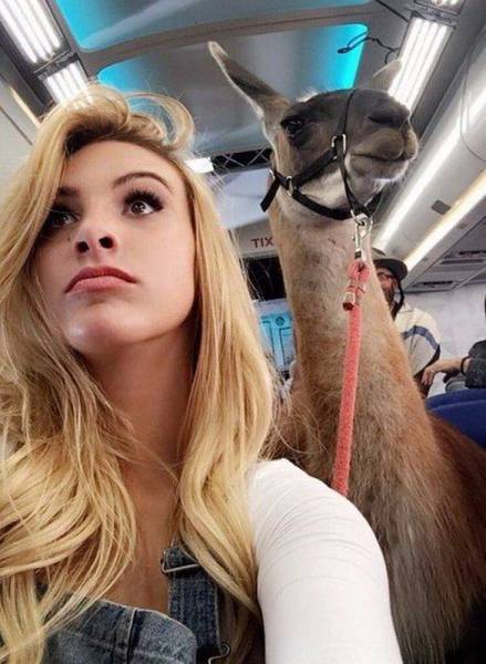 Content Image