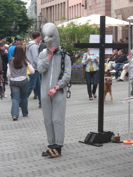 Content Image