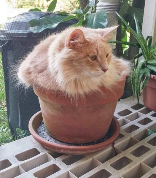 Morning Picdump
