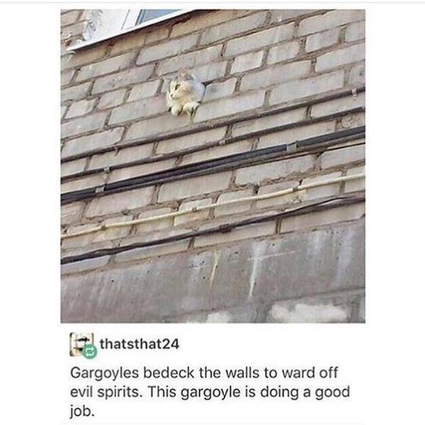 Funny Picdump