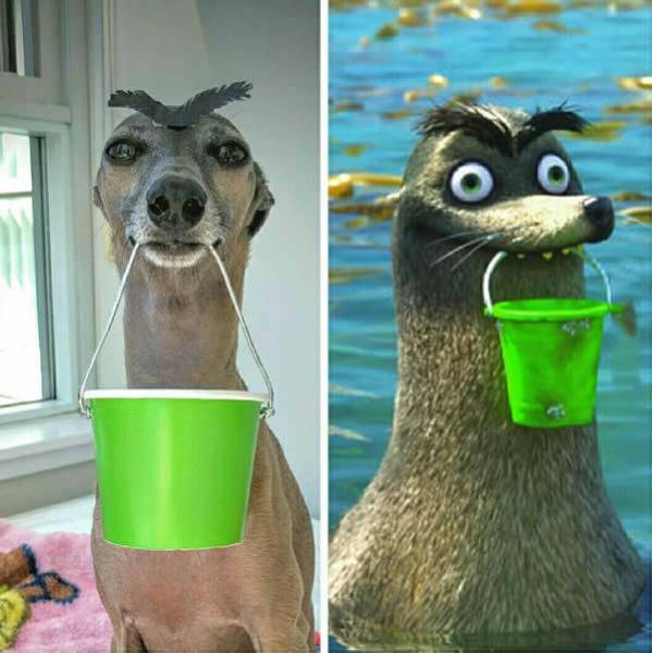 Funny Picdump