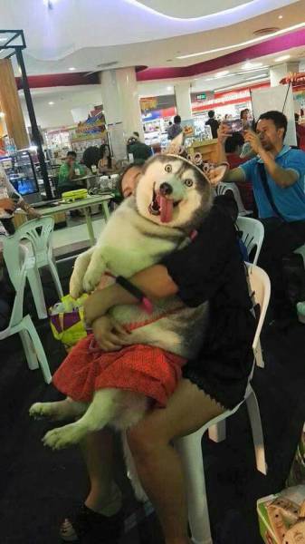 Funny Picdump