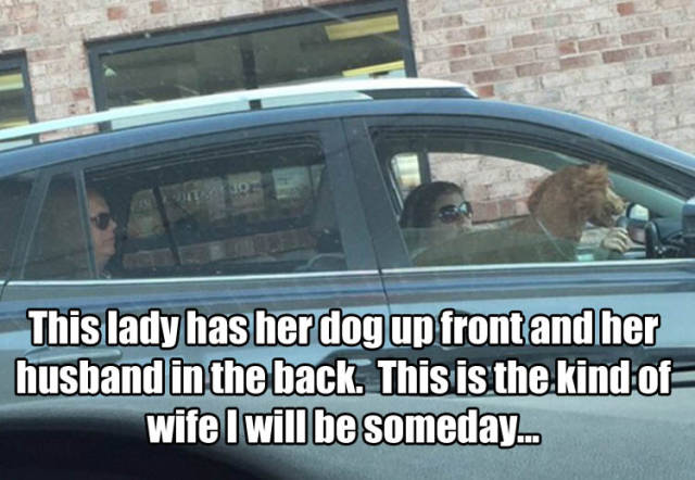 Funny Picdump