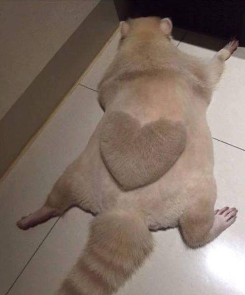 Morning Picdump