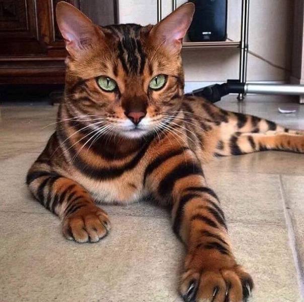 Morning Picdump