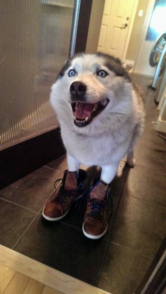 Content Image