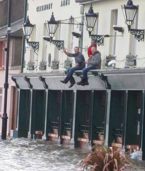 Daily Picdump