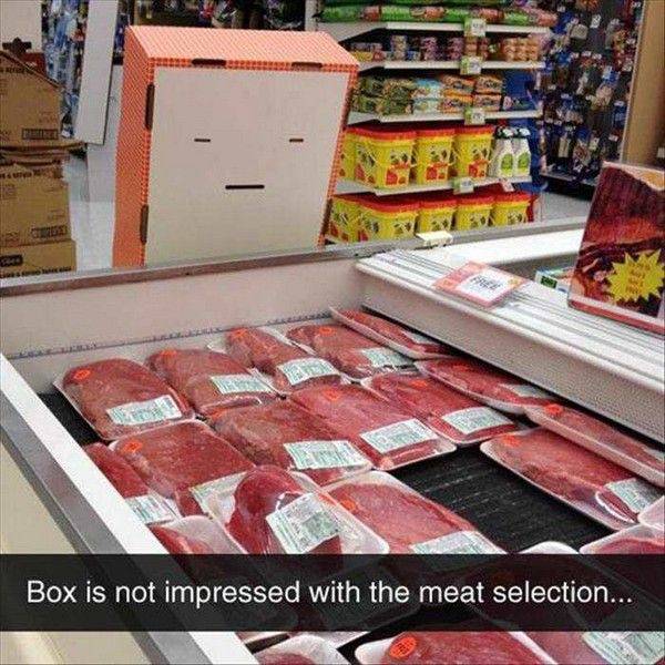 Daily Picdump