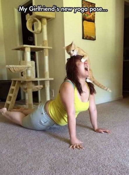 Content Image