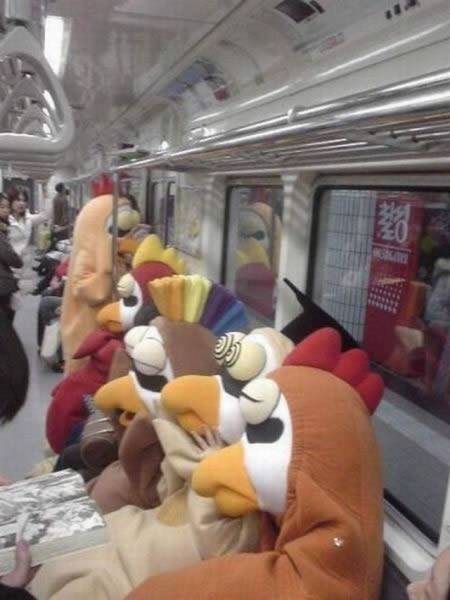 Content Image