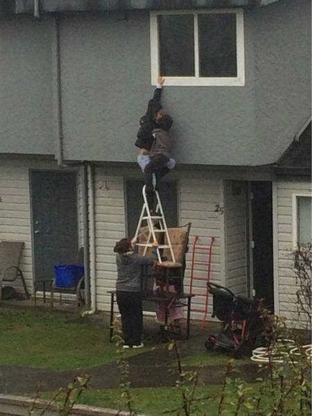 Daily Picdump