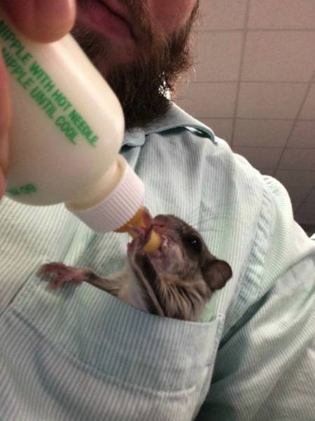 Daily Picdump