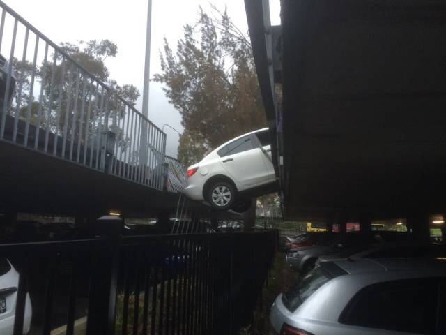 Daily Picdump