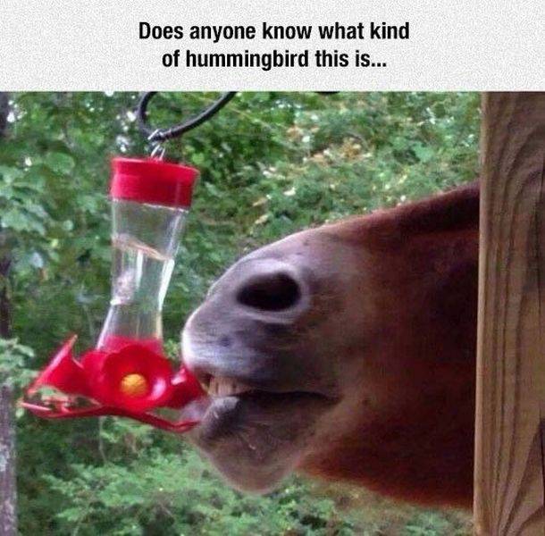 Daily Picdump