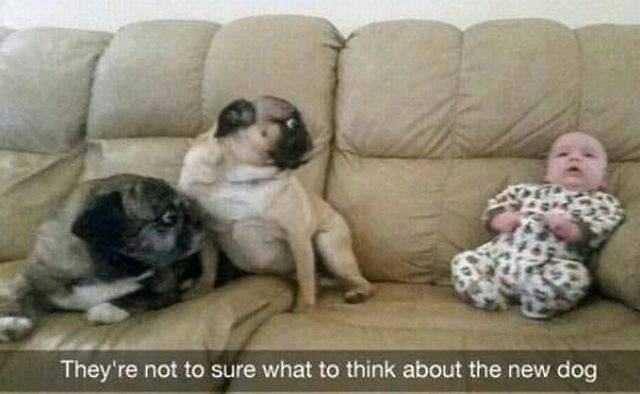 Daily Picdump