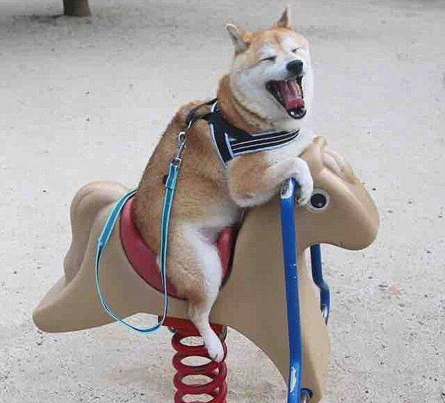 Content Image