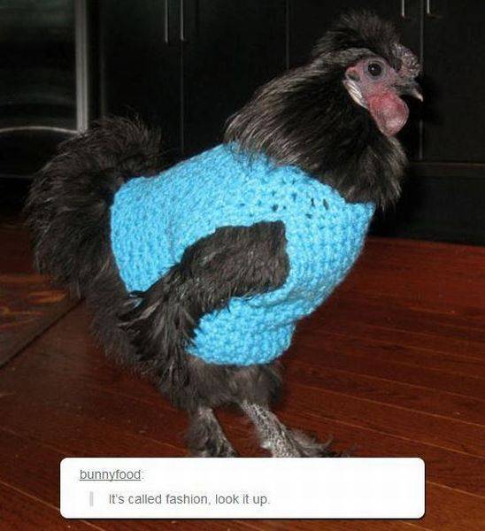Content Image