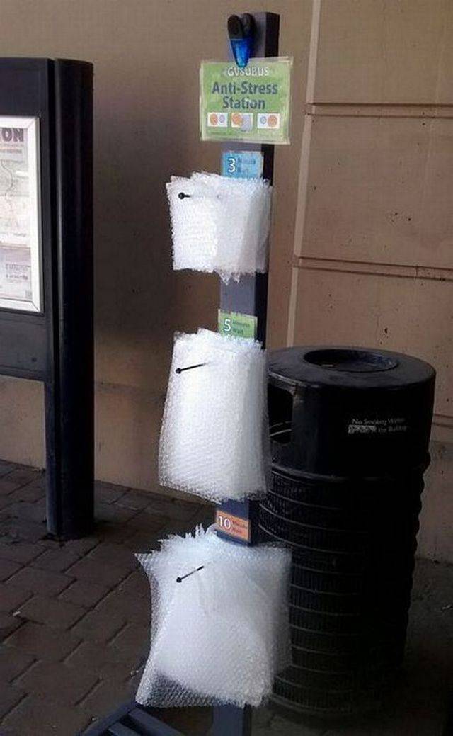 Daily Picdump