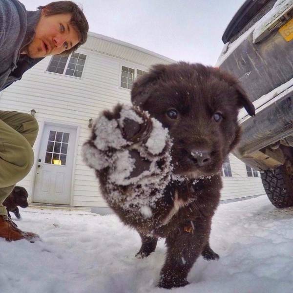 Morning Picdump